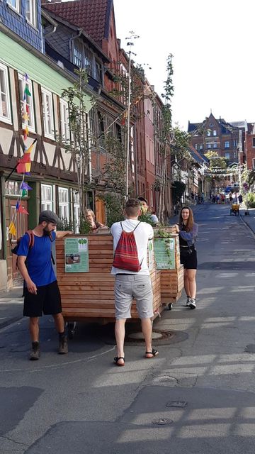 Umzug der Wanderbaumallee am 16.9.2023