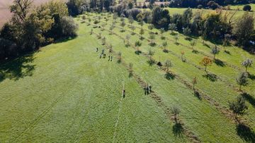 Foto von Streuobstwiese von oben