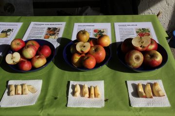 Äpfel beim Streuobstwiesenfest