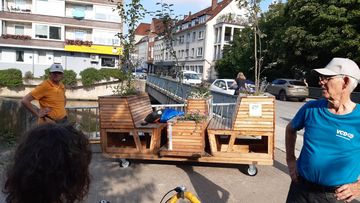 Wanderbaumelement mit Helfern für den Transport